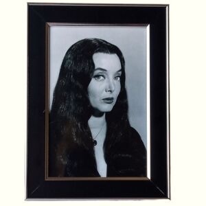 Addams Family Morticia Vintage Original Gothic Punk Rock Goth Emo 60s art retro